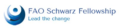 FAO Schwarz Fellowship in Social Impact - Online Info Session